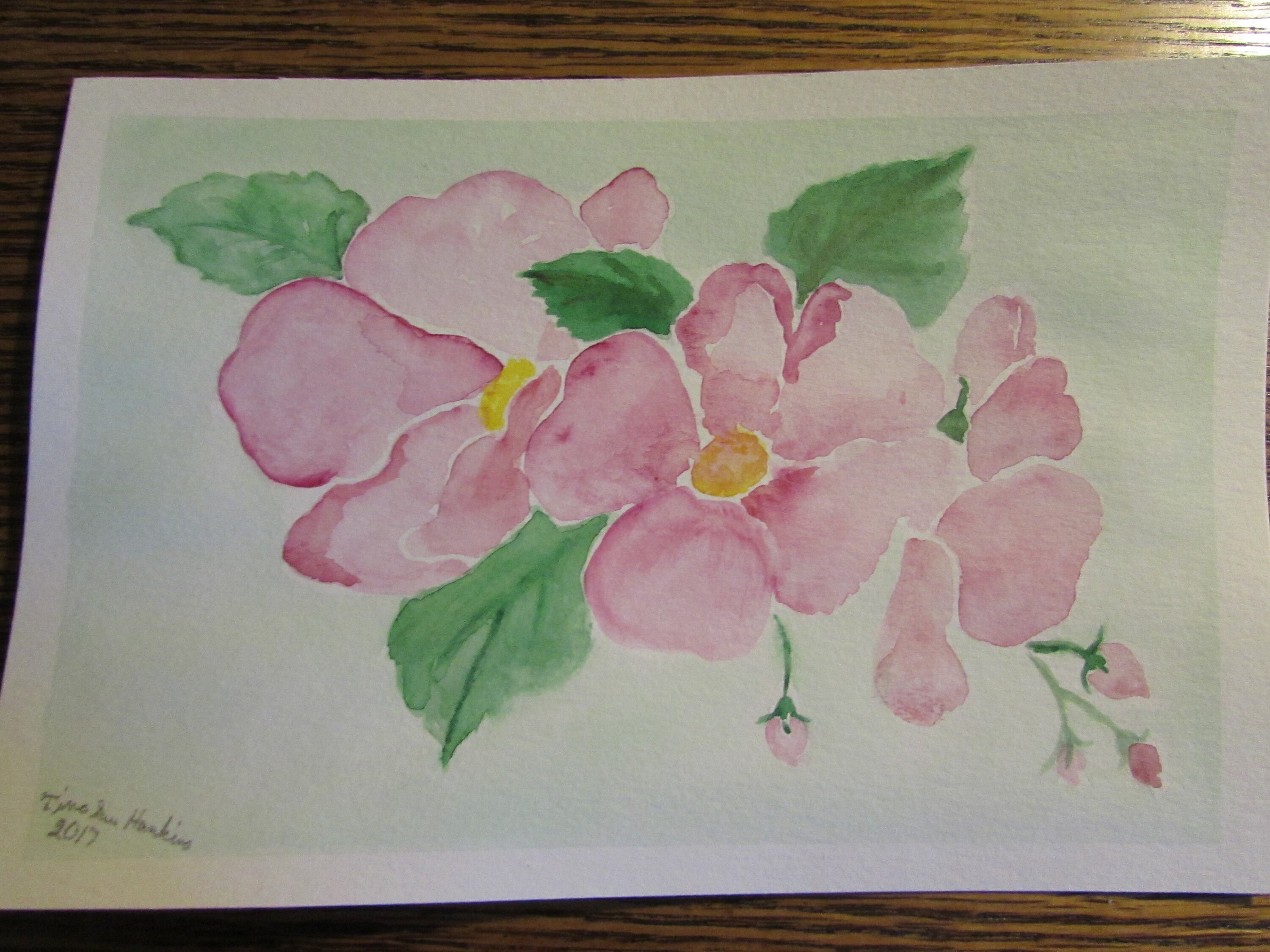 Learn to paint white Dog Roses in water colour by Claire Botterill with her video Tutorial