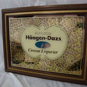 Vintage Haagen Dazs - Etsy