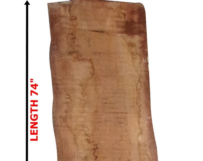 Live Edge Mango Wood Slab Will Make a Great Table, Kiln Dried and Ready to Be Made Into a