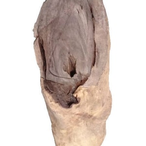 May include: A large piece of weathered wood with a natural hole in the center. The wood is a light brown color with darker brown streaks.
