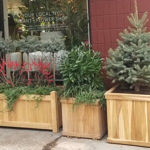 May include: A display of wooden planters containing a variety of plants and small trees. The planters, with a natural wood finish, are rectangular and square. The plants include evergreen shrubs, small fir trees, and plants with red berries. The scene is outside a plant and flower shop.