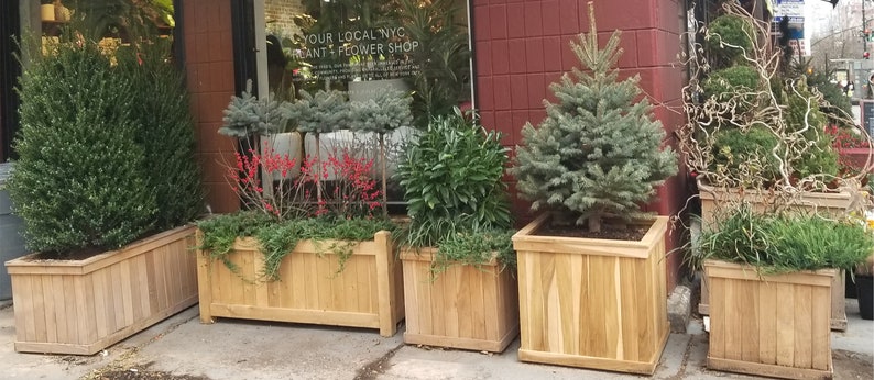 May include: A display of wooden planters containing a variety of plants and small trees. The planters, with a natural wood finish, are rectangular and square. The plants include evergreen shrubs, small fir trees, and plants with red berries. The scene is outside a plant and flower shop.