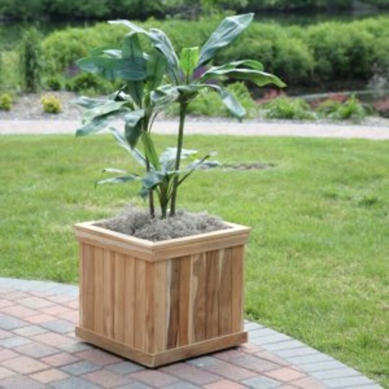 May include: A square wooden planter box with a light brown finish, holding a green plant with large leaves. The planter sits on a brick patio, with a grassy background.