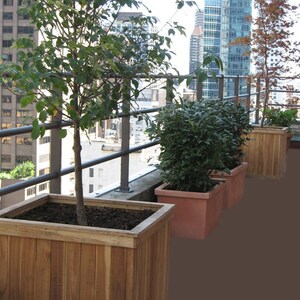 May include: A rooftop garden featuring wooden planters filled with trees and shrubs. The planters are rectangular and made of natural wood. The background shows a cityscape with high-rise buildings and a metal railing.