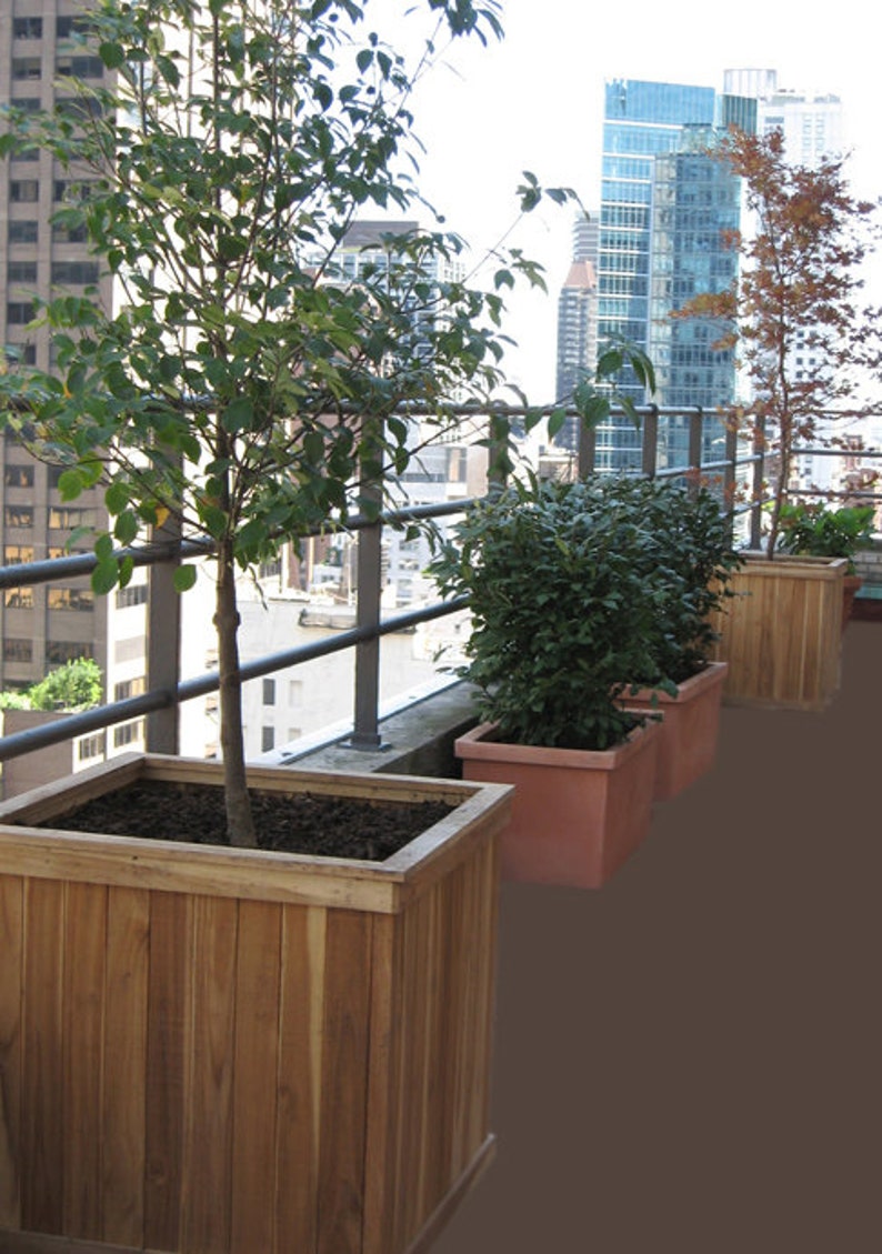 May include: A rooftop garden featuring wooden planters filled with trees and shrubs. The planters are rectangular and made of natural wood. The background shows a cityscape with high-rise buildings and a metal railing.