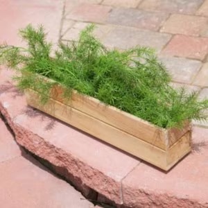 May include: A rectangular wooden planter box filled with vibrant green plants. The box is made of light-colored wood and sits on a reddish-brown stone surface. The plants have a delicate, fern-like appearance.