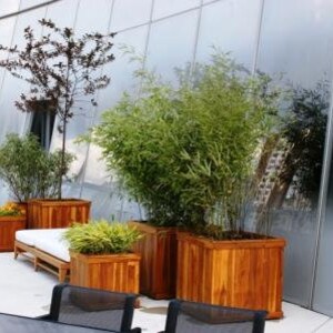 May include: An outdoor setting with wooden planters containing plants and small trees. A white cushioned bench is positioned between two planters. The planters are arranged on a light-coloured surface against a glass wall.