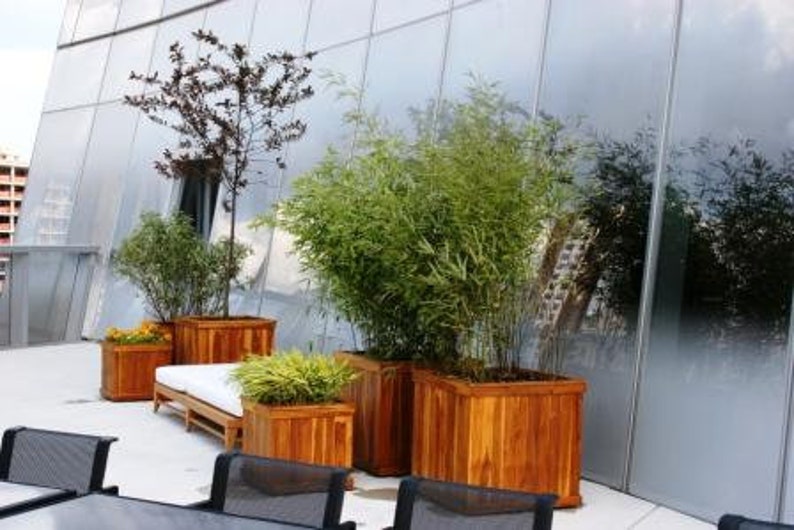 May include: An outdoor setting with wooden planters containing plants and small trees. A white cushioned bench is positioned between two planters. The planters are arranged on a light-coloured surface against a glass wall.