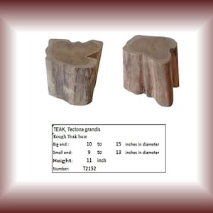 May include: Two rough-cut teak bases, Tectona grandis, with natural wood grain. The big end measures 10 to 15 inches in diameter, the small end 9 to 13 inches, and the height is 11 inches. The product number is T2152.