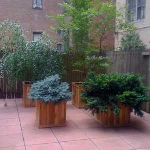 May include: A patio featuring wooden planters containing green plants and shrubs. The square planters are constructed from light-coloured wood. The patio floor is tiled with red squares. A wooden fence and brick building are visible in the background.