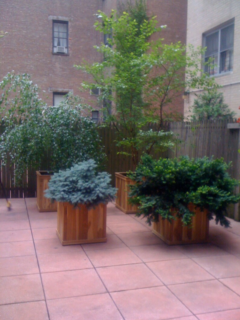 May include: A patio featuring wooden planters containing green plants and shrubs. The square planters are constructed from light-coloured wood. The patio floor is tiled with red squares. A wooden fence and brick building are visible in the background.