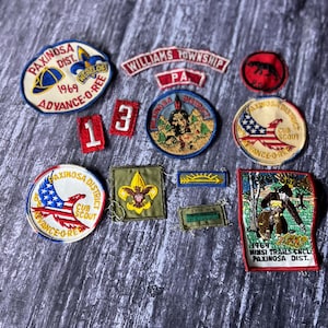 May include: A collection of vintage Boy Scout patches. The patches feature various designs, including eagles, Native American portraits, and text such as "Paxinosa District" and "Advance-O-Ree." Colors include red, blue, yellow, and green.