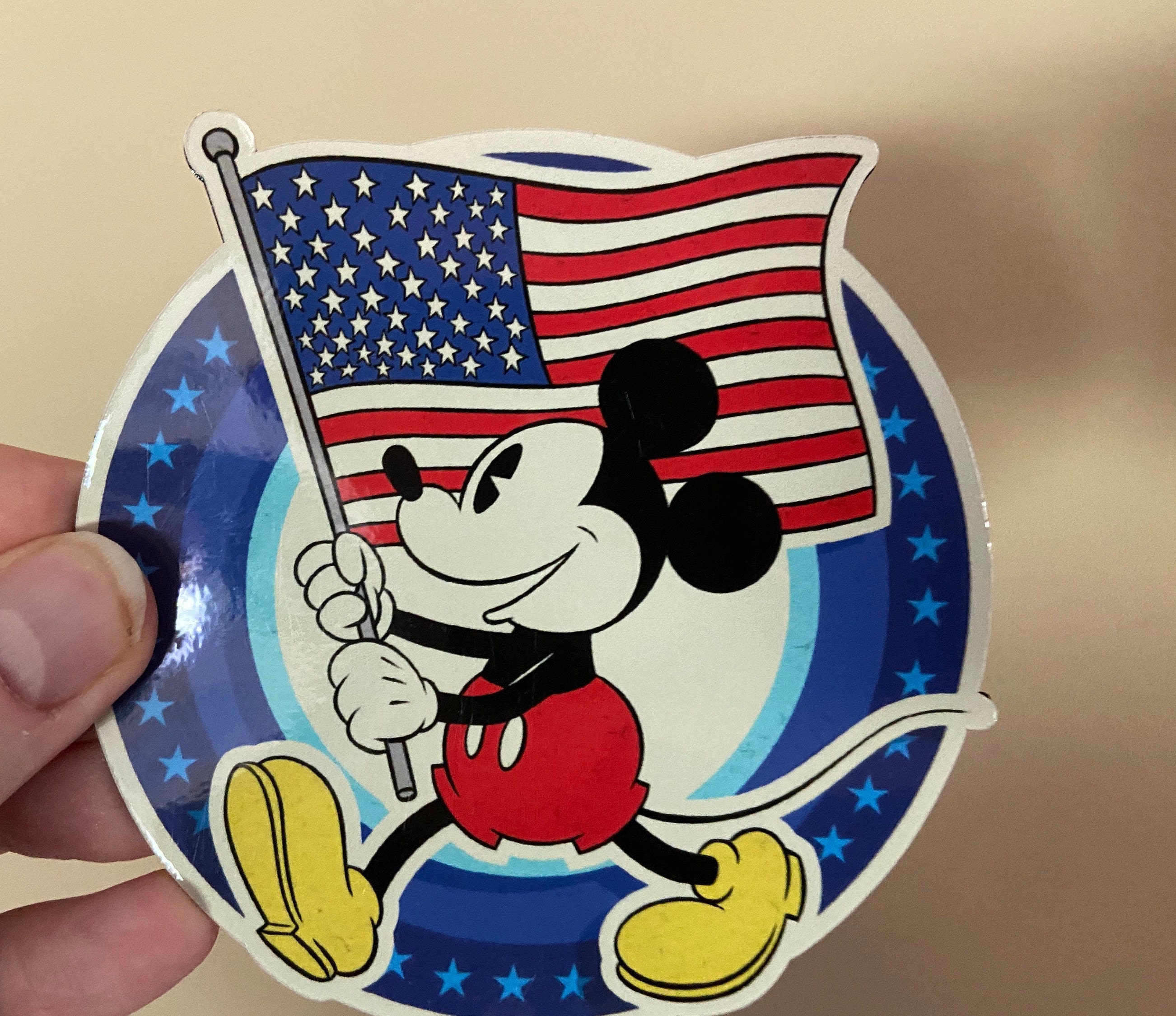 アメリカ WaltDineyWorld パスホルダー マグネット ディズニー il_fullxfull.3146188910_csft.jpg