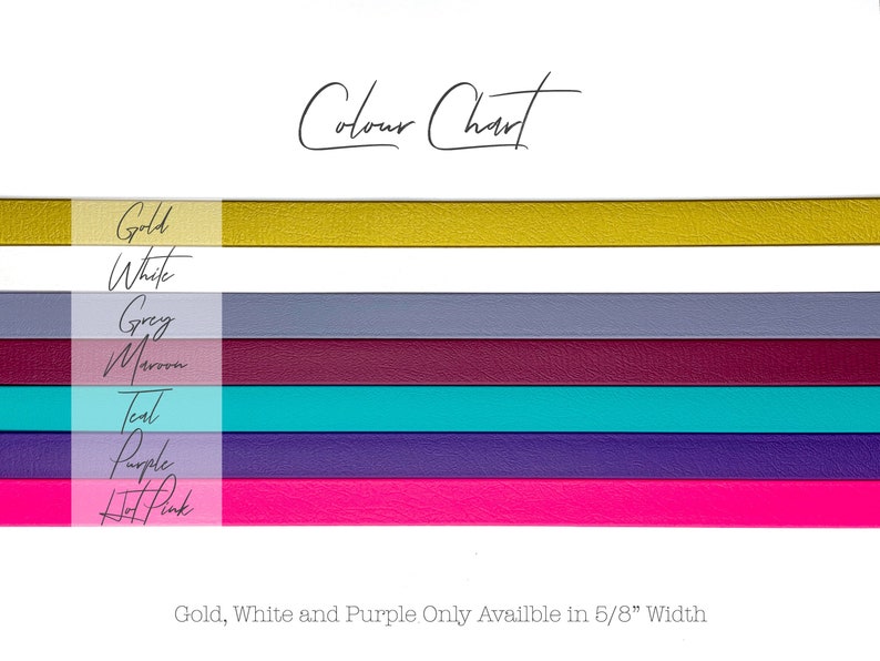Biothane Leash Set Collar PAWS OF KOW The Jelly Collection