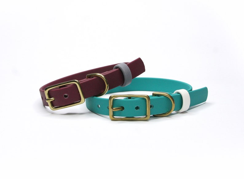 Biothane Leash Set Collar PAWS OF KOW The Jelly Collection