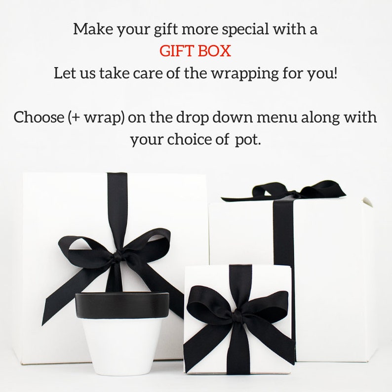 Indoor Plant Pot Flower Pot Last Name Wedding Gift Family Etsy