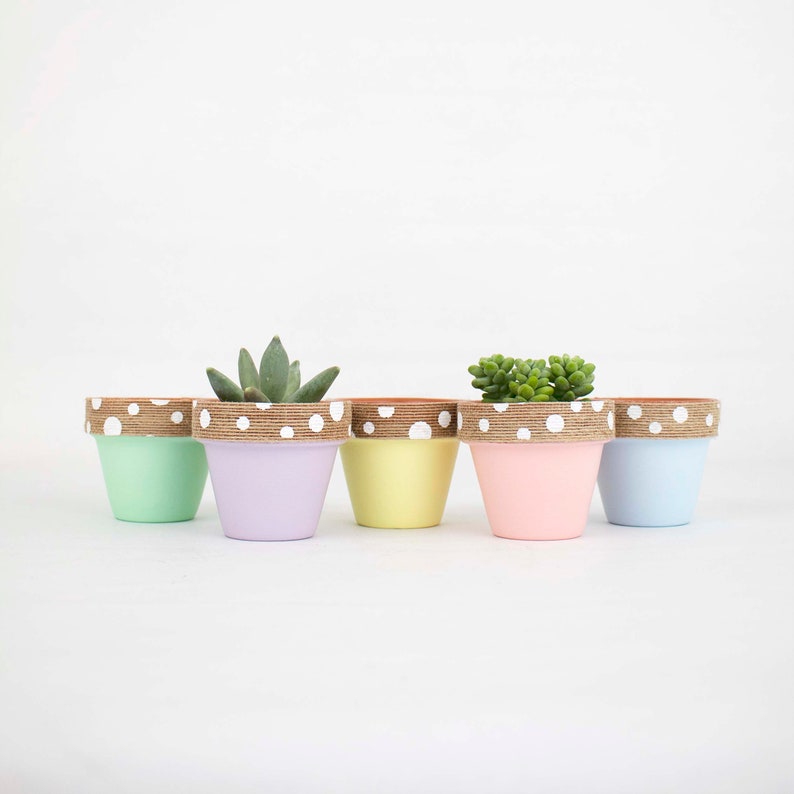 Small Succulent Pots Bulk Small Plant Pot Tiny Home Decor Etsy