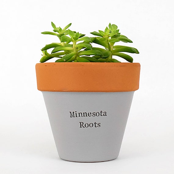 Minnesota Roots Succulent Planter Gardening Gifts Garden Etsy
