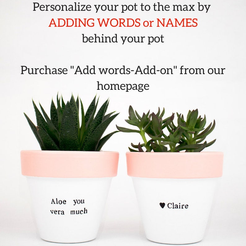 Indoor Plant Pot Birthday Gift for Her Best Friend Congrats Etsy