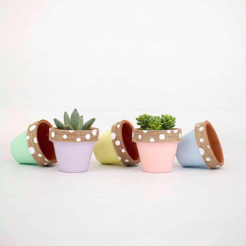 Small Succulent Pots Bulk Small Plant Pot Tiny Home Decor Etsy