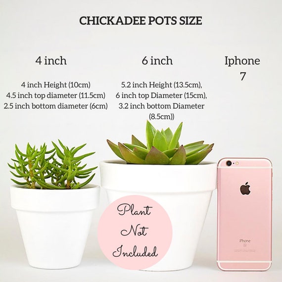 Engagement Gifts for Newly Engaged Couples Custom Plant Pot Initials and Date Personalized Planter for Indoor