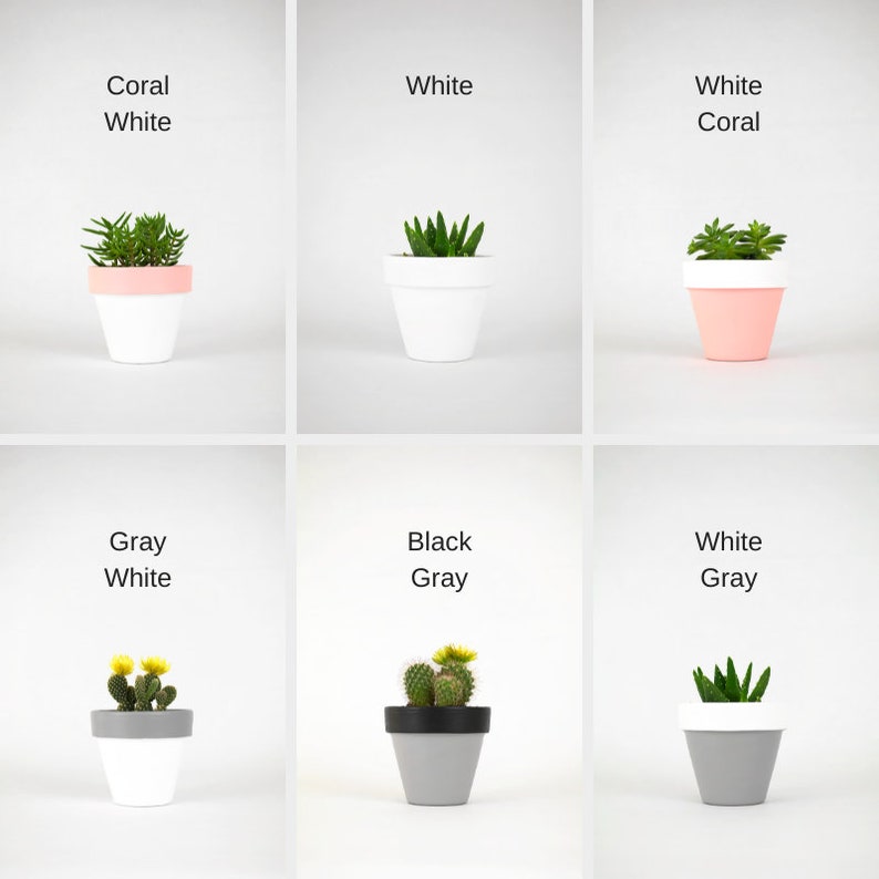 Indoor Plant Pot Personalized Wedding Anniversary Gift Etsy