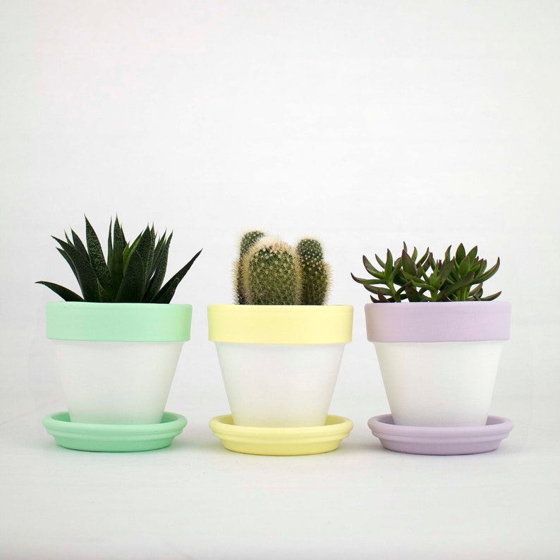 4 Plant Pot Saucer Drip Tray Blue Saucer Yellow Etsy