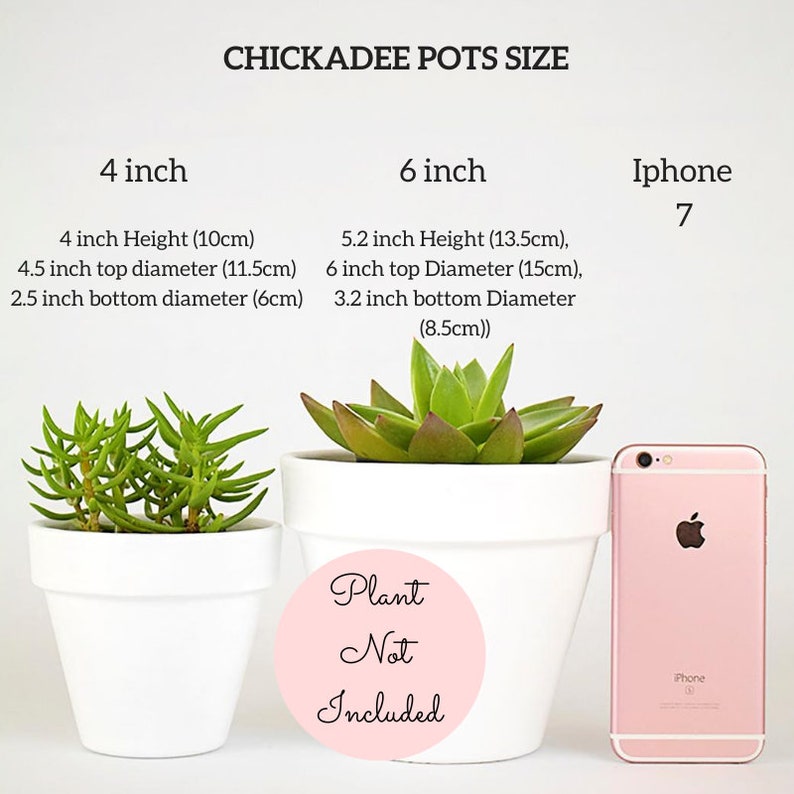 Indoor Plant Pot Birthday Gift for Her Best Friend Congrats Etsy