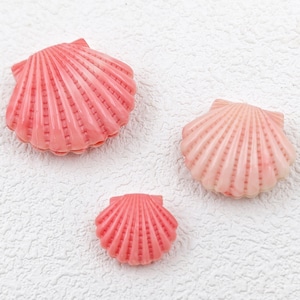 K&ouml;nnte beinhalten: Drei rosa Muscheln in verschiedenen Gr&ouml;&szlig;en. Die gr&ouml;&szlig;te Muschel befindet sich in der oberen linken Ecke des Bildes, die mittelgro&szlig;e Muschel befindet sich in der unteren rechten Ecke und die kleinste Muschel befindet sich in der Mitte des Bildes.