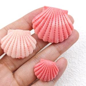 K&ouml;nnte beinhalten: Drei rosafarbene Muscheln in verschiedenen Gr&ouml;&szlig;en. Die gr&ouml;&szlig;te Muschel ist am kr&auml;ftigsten rosa, w&auml;hrend die kleineren Muscheln einen helleren Rosaton haben.