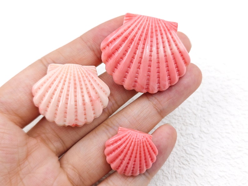 K&ouml;nnte beinhalten: Drei rosafarbene Muscheln in verschiedenen Gr&ouml;&szlig;en. Die gr&ouml;&szlig;te Muschel ist am kr&auml;ftigsten rosa, w&auml;hrend die kleineren Muscheln einen helleren Rosaton haben.
