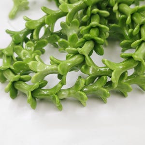 19×20 mm Variegated Green Puakenikeni Beads, Coral Powder Puakenikeni Beads , Green Puakenikeni Beads, Lei Making , 20 pcs or more, YB1281