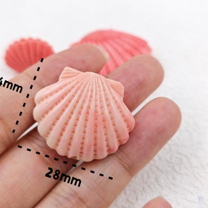 K&ouml;nnte beinhalten: Eine rosa Muschel mit strukturierter Oberfl&auml;che. Die Muschel ist 28 mm breit und 24 mm hoch.