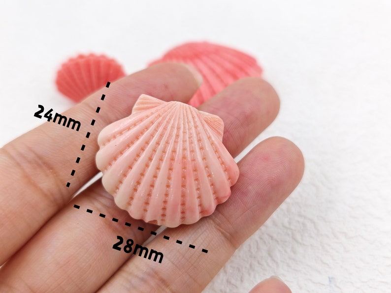 K&ouml;nnte beinhalten: Eine rosa Muschel mit strukturierter Oberfl&auml;che. Die Muschel ist 28 mm breit und 24 mm hoch.