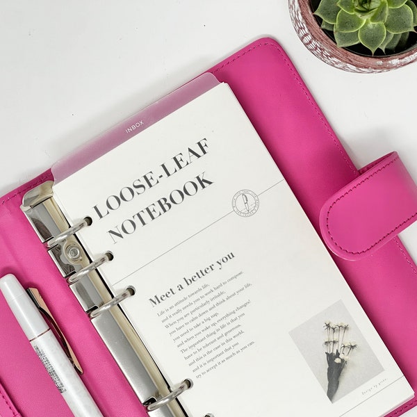 Divisor de bandeja de entrada A6/planificador personal: transparente esmerilado, etiqueta de aluminio blanco