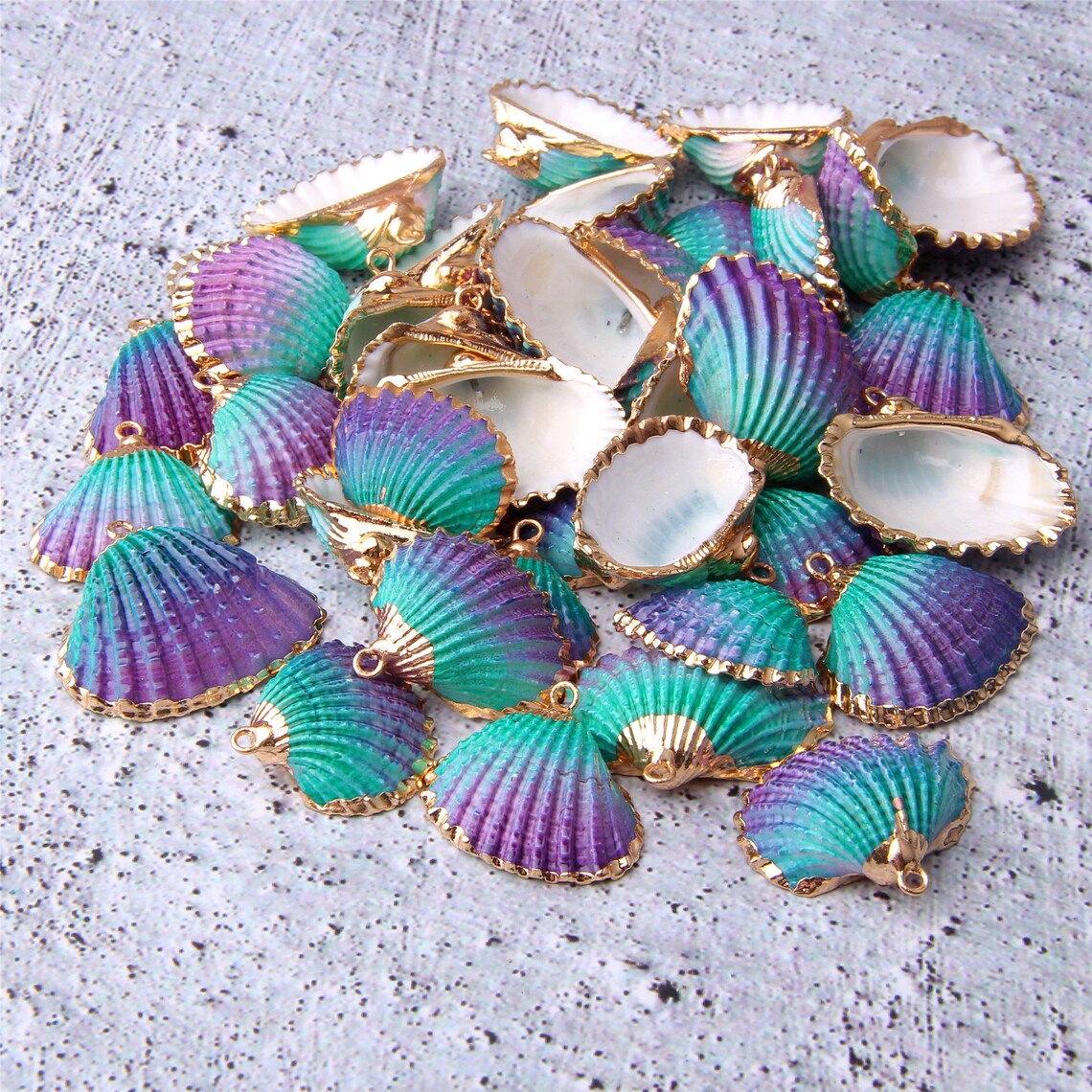 4/10/20pcs Natural Sea Shells Cowrie Shell Gold Plated Shell Etsy