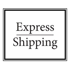 FEDEX DHL etc.  Express delivery shipping