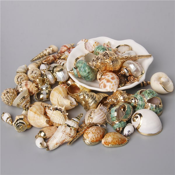 10pcs Natural Irregular Beach Scallop Conch Shell Sandy Beach Pendants Charm For Diy Jewelry Making Necklace Earring Bracelet Accessories