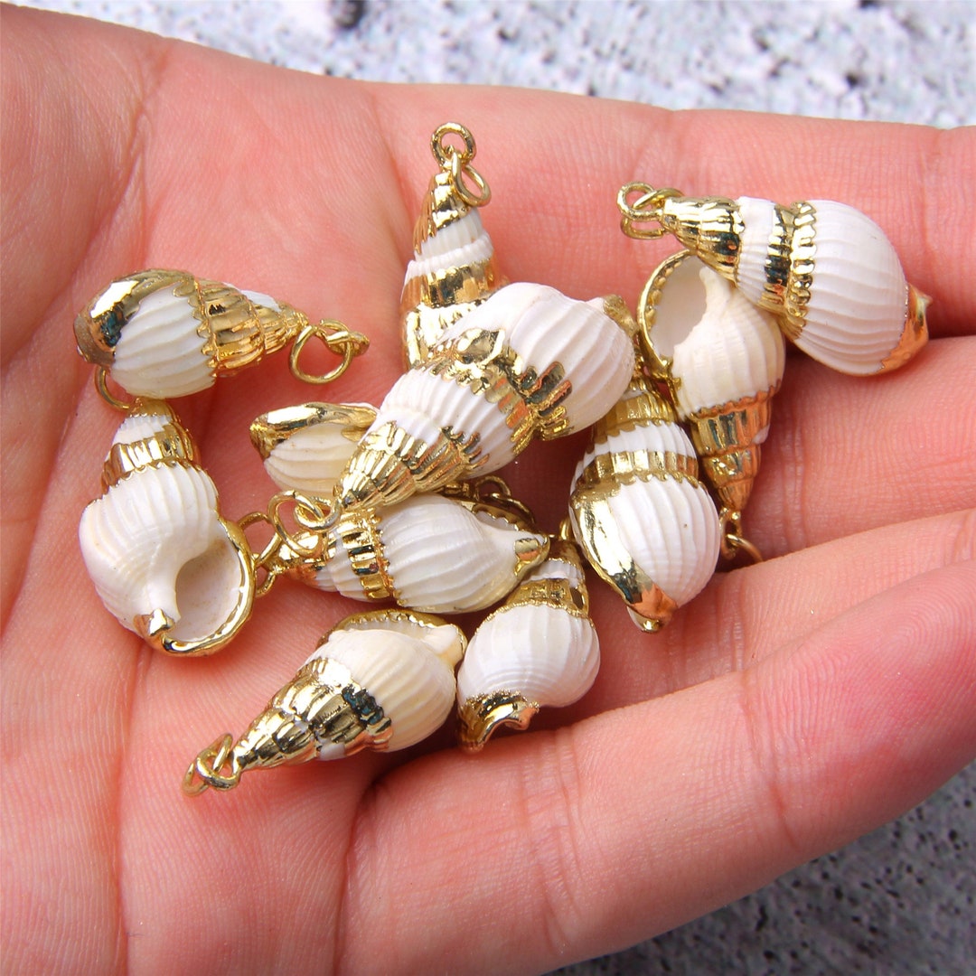 4/10/20pcs Natural Sea Shells Cowrie Shell Gold Plated Shell Pendants ...