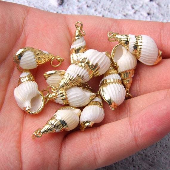 4 10 20pcs Natural Sea Shells Cowrie Shell Gold Plated Shell