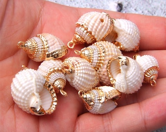 Peut inclure: Une collection de dix coquillages blancs avec des accents dorés. Les coquillages sont de formes et de tailles différentes, et ils ont un aspect naturel et organique. Ils sont parfaits pour l'artisanat ou la décoration.
