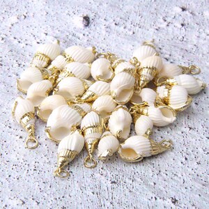 4/10/20pcs Natural Sea Shells Cowrie Shell Gold Plated Shell Pendants Seashell Charm Nature Shell Charm Gold wrapped Shell Pendant Sea image 2