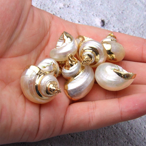 5/10/20pcs Natural Sea Shells Cowrie Shell Gold Plated Shell Pendants Seashell Charm Nature Shell Charm Gold wrapped Shell Pendant Sea