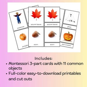 Op de afbeelding: Montessori 3-delige kaarten met herfst- en Halloween-thema's. De kaarten tonen een vogelverschrikker, pompoenen, eikels, rode esdoornbladeren, een spook en een pompoen met een gezicht. De kaarten zijn full-color printables.
