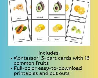 Montessori 3-Part Cards in English  - Fruit