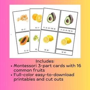 May include: Montessori 3-part cards featuring 16 common fruits. The cards are full-colour and easy to download and print. The cards include images of fruits like dates, oranges, avocados, papaya, and lemons.