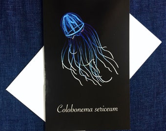 Silky Medusa Jellyfish Greeting Card / Hydrozoan / Bathypelagic Animal / Colobonema Sericeum / Stationary