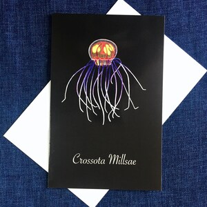 Crossota Millsae Jellyfish Wenskaart / Hydrozoan / Bathypelagic Animal / Stationair