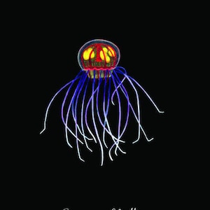 Jellyfish Crossota Millsae Art Print / Hydrozoan / Bathypelagic Animal / 8x10