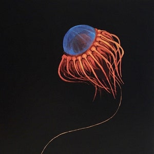Jellyfish Atolla Vanhoeffeni Art Print / Hydrozoan / Bathypelagic Animal / 8x10
